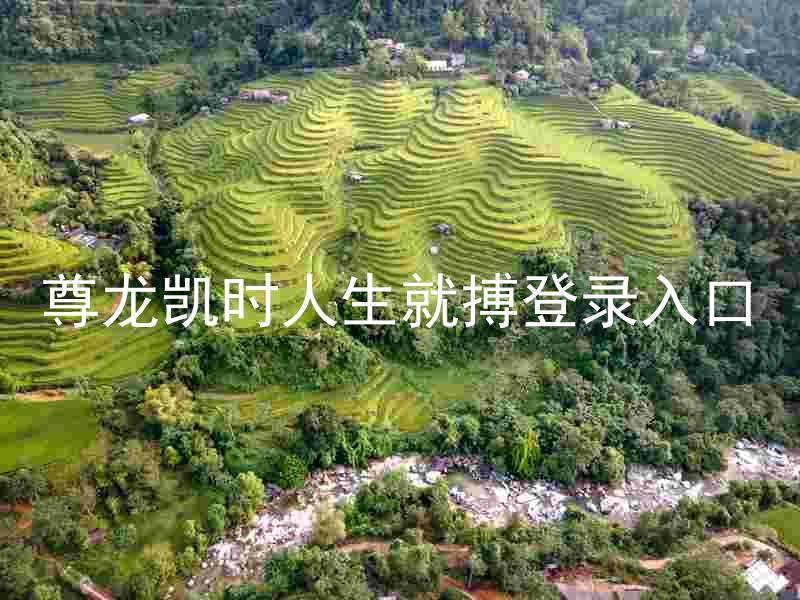 尊龙凯时人生就搏登录入口