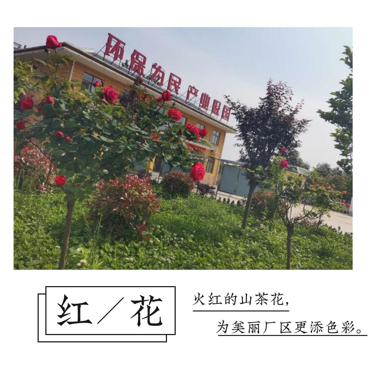 欧博·(allbet)官方网站