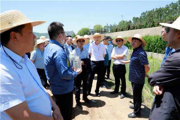 欧博官方网站集团复工复产促增添项目观摩聚会与会职员走进环保保隆生态三秦在延在铜项目