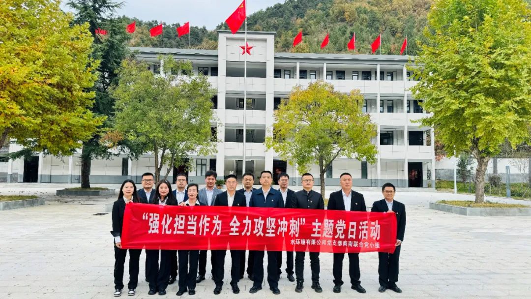 水情形公司党支部商南联合党小组开展“强化继续作为 全力攻坚冲刺”主题党日运动